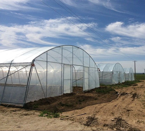 蔬菜大棚建设 蔬菜大棚建设