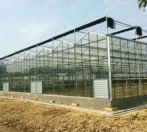 智能玻璃温室建造